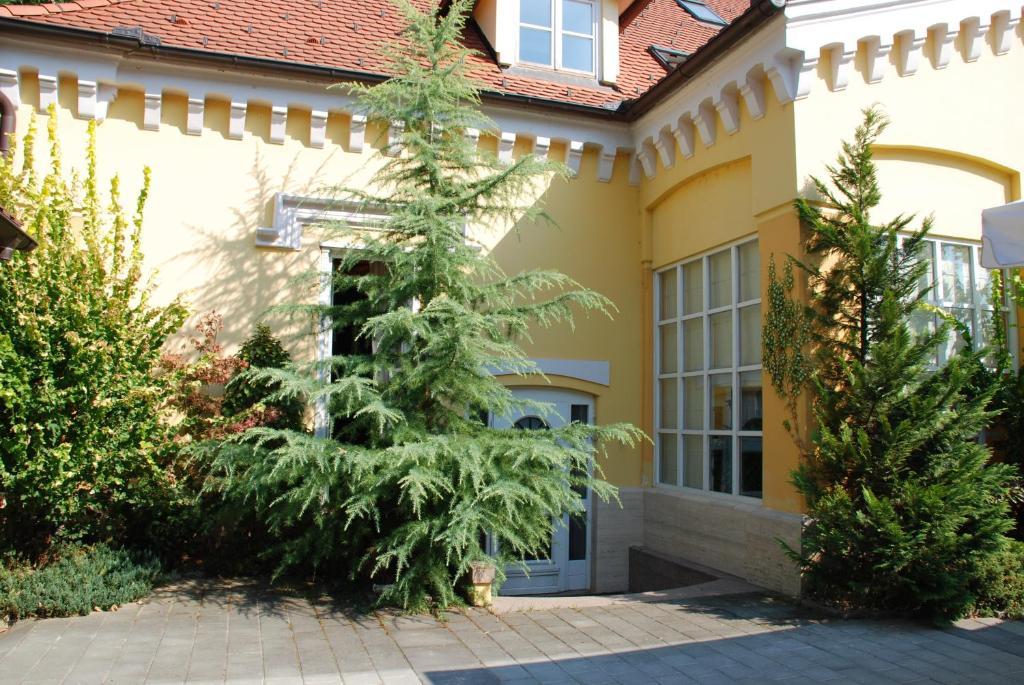 Villa Noa Križ Dış mekan fotoğraf